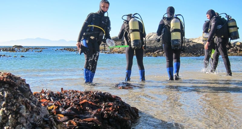 Scuba divers on their Raid Open Water 20 Course