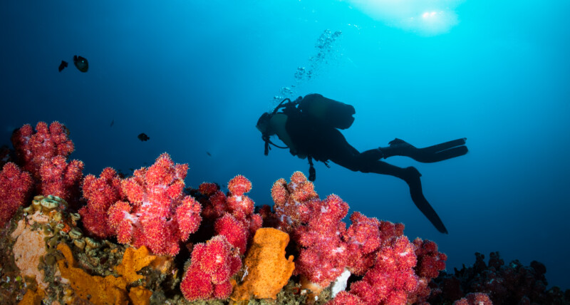 SSI advanced adventurer course